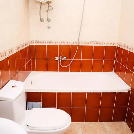 Apartment Aleksandar The Great Novi Sad